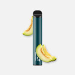 Salt Switch Einweg EShisha Melon