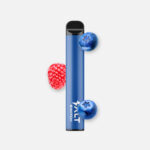 Salt Switch Einweg E-Shisha Blueberry Raspberry kaufen