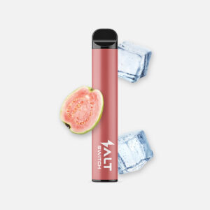 Salt Switch GUAVA ICE Einweg E-Zigarette 20 mg/ml Nikotin 600 Züge