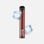 Einweg E-Zigarette Salt Switch ice coke kaufen