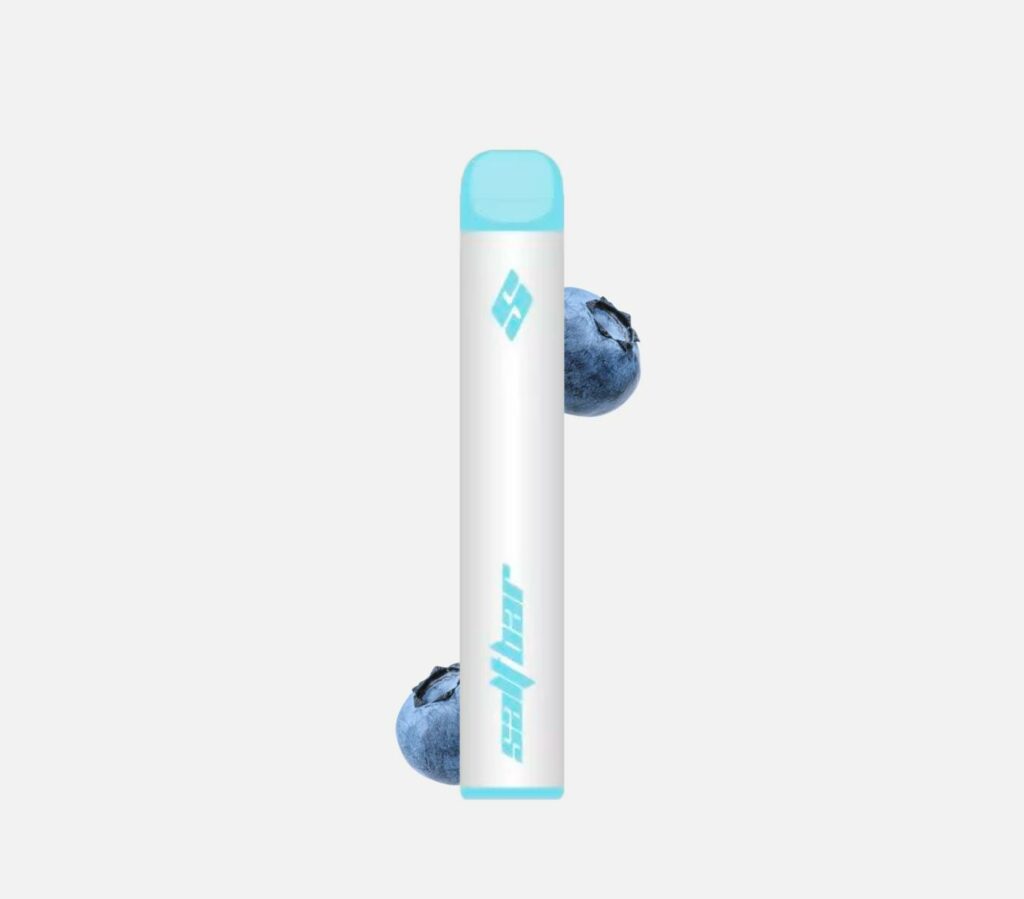 Zero Vape-Blueberry kaufen