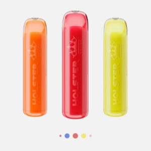 Holster Vape E-Shisha 20 mg/ml Nikotin 600 Züge