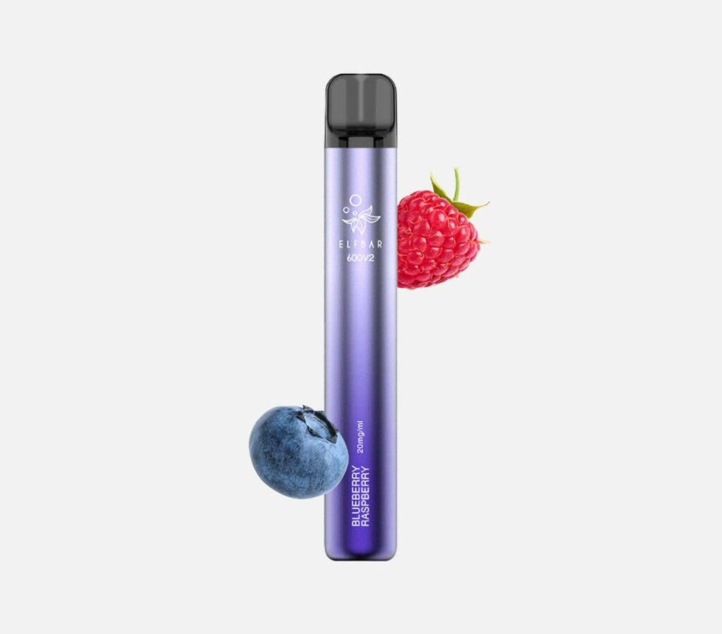 Elfbar 600 V2 Einweg Vape-blueberry raspberry kaufen