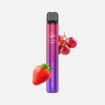 Elfbar 600 V2 Einweg Vape-grape raspberry kaufen