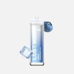 Lost Mary QM600-blueberry ice kaufen