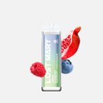 Lost Mary QM600-blueberry raspberry pomegranate kaufen