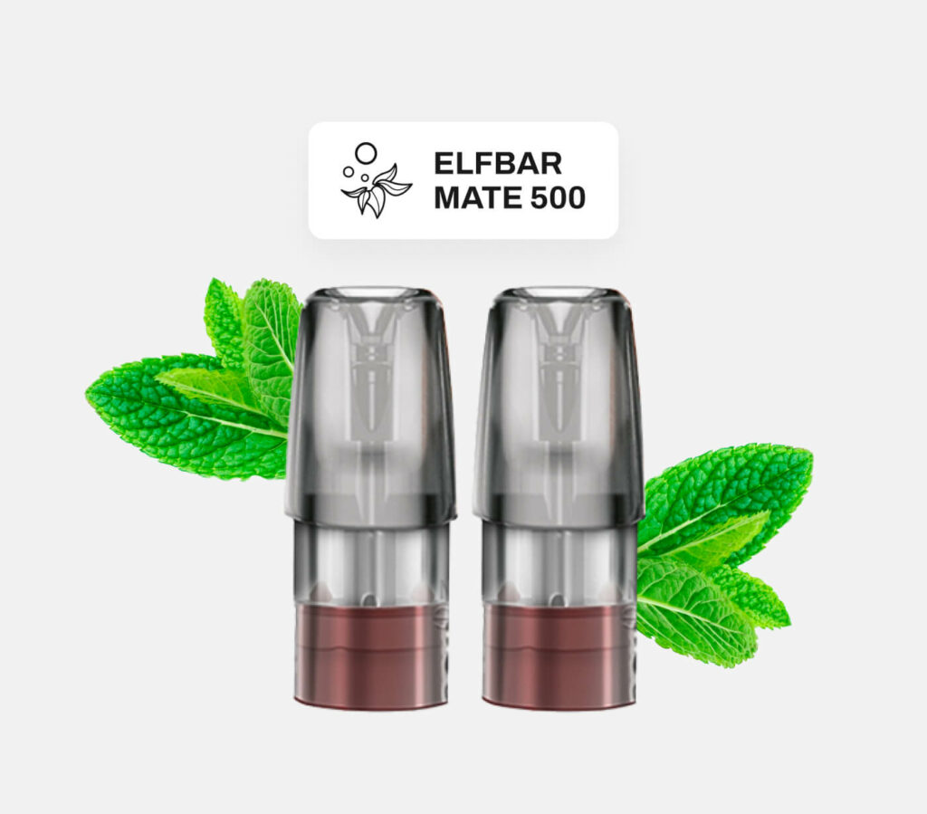 Elfbar Mate 500 Pods (2 Stk.)-spearmint kaufen