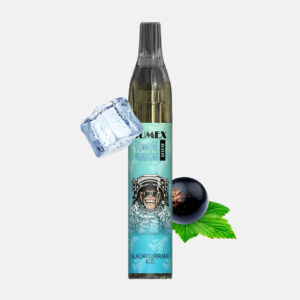 RandM Tornado Vase 600 Einweg Vape - Blackcurrant Ice
