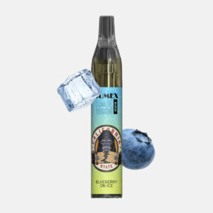RandM Tornado Vase 600 Einweg Vape - Blueberry Ice