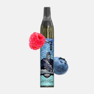 RandM Tornado Vase 600 Einweg Vape - Blueberry Sour Raspberry