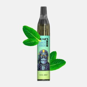 RandM Tornado Vase 600 Einweg Vape - Cool Mint