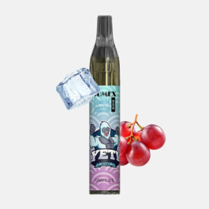 RandM Tornado Vase 600 Einweg Vape - Grape Ice