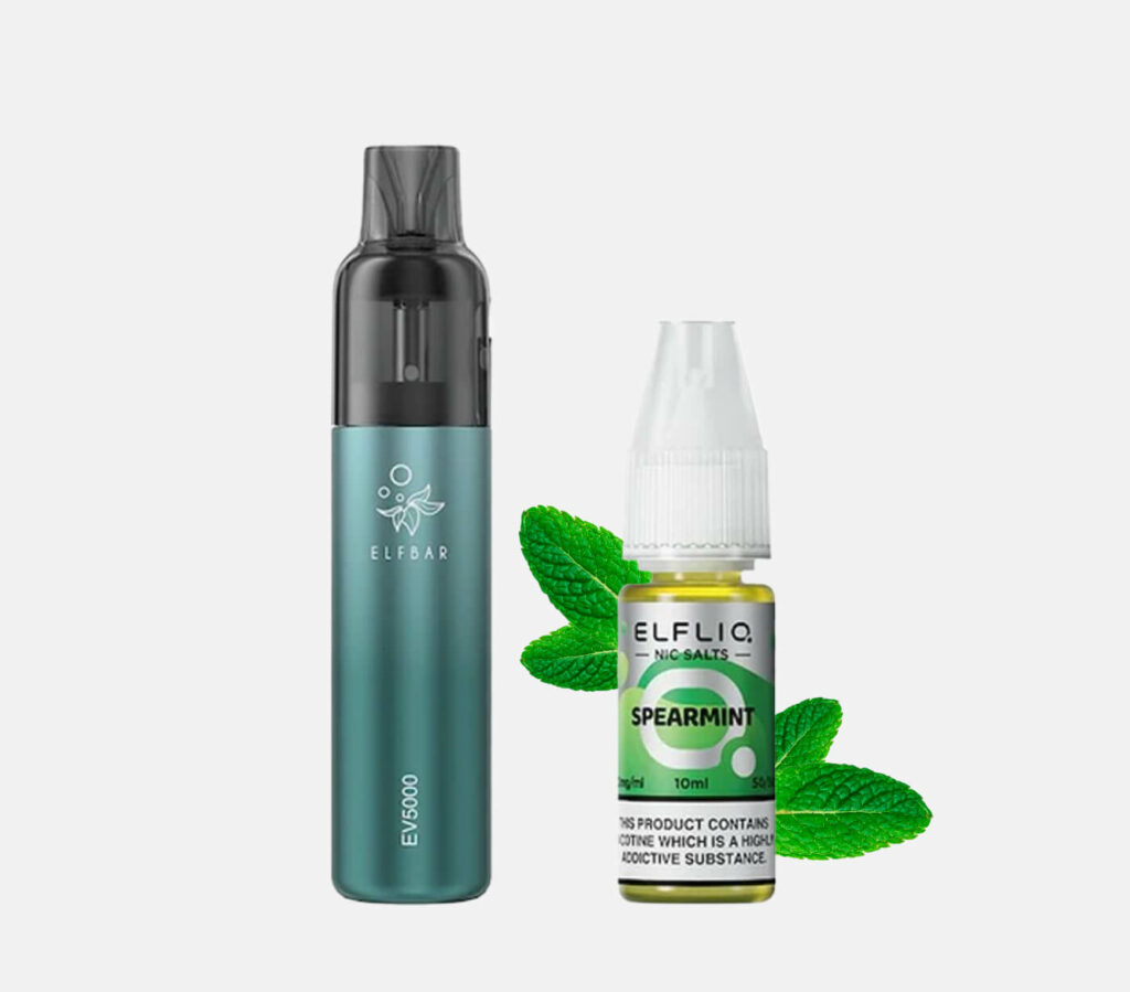elfbar ev5000-spearmint kaufen