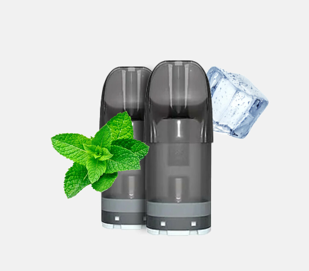 Salt Plus Pods-cool mint kaufen