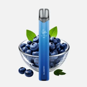 Elfbar 800 - Blueberry
