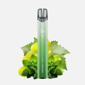 Elfbar 800 - Grape Mint