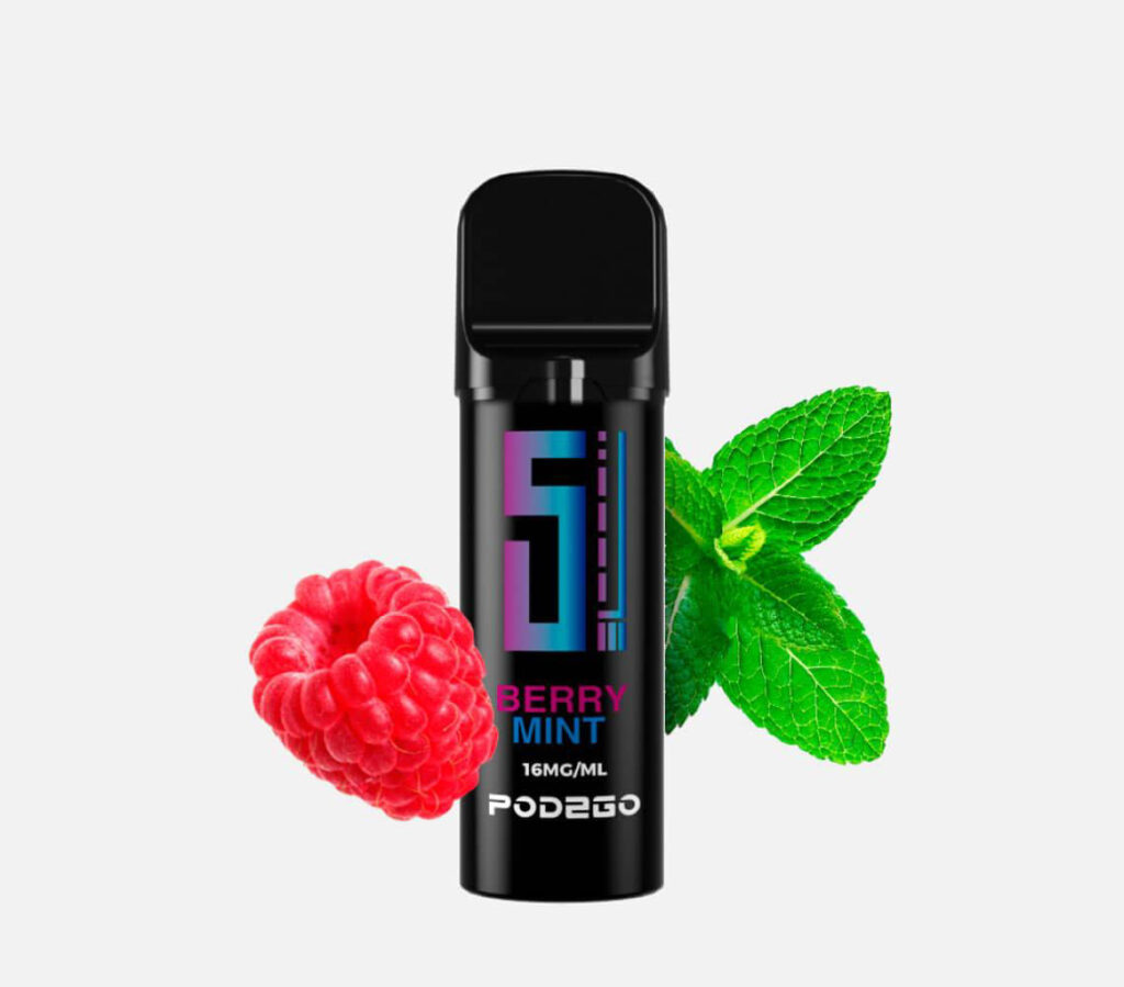 5EL POD2GO Pod Berry Mint 16mg/ml Nikotin kaufen