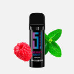 5EL POD2GO Pod Berry Mint 16mg/ml Nikotin kaufen