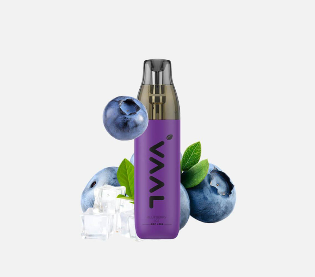 VAAL AOP1000 BLUEBERRY ICE kaufen