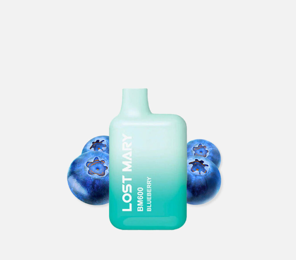 Elf Bar Lost Mary BM600 Blueberry E-Shisha 20 mg/ml Nikotin 600 Züge kaufen