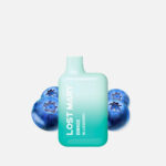 Elf Bar Lost Mary BM600 Blueberry E-Shisha 20 mg/ml Nikotin 600 Züge kaufen