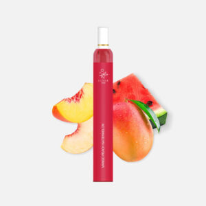 Elf Bar T600 MANGO PEACH WATERMELON Einweg E-Zigarette 20 mg/ml Nikotin 600 Züge
