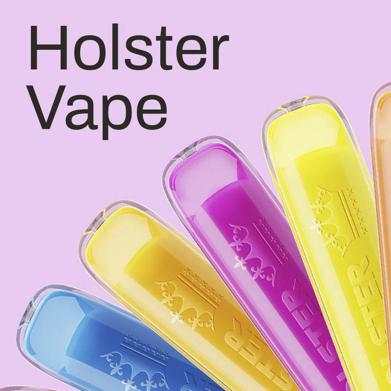Holster-Vape kaufen