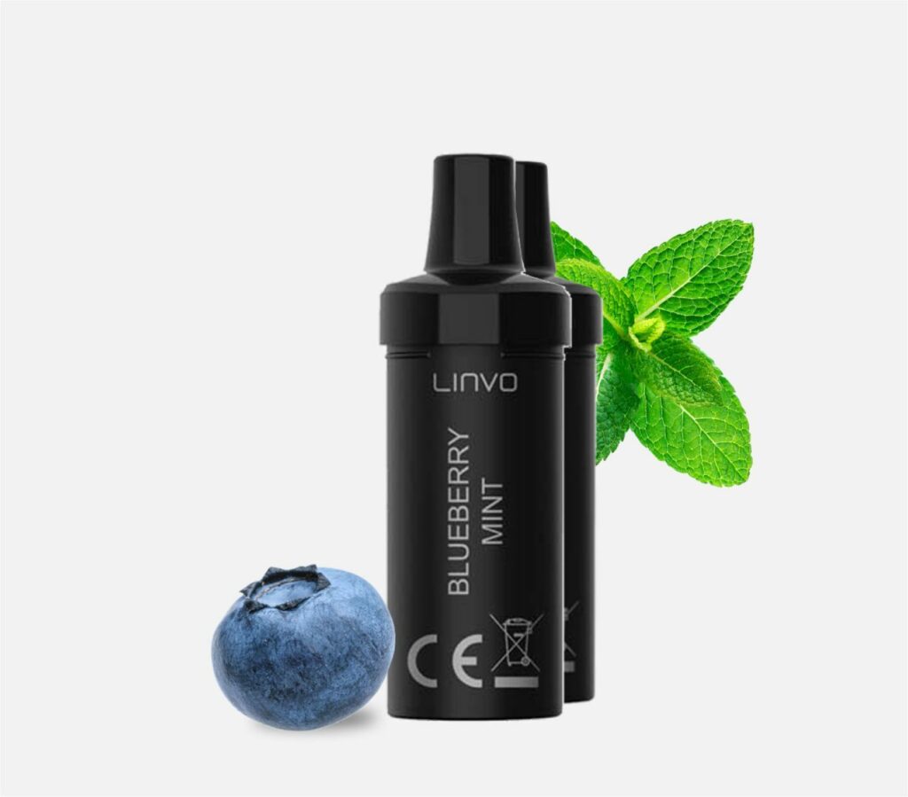 Linvo Pod Lite Cartridge – Blueberry Mint kaufen